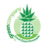4 Green Company motivator termahal di indonesia